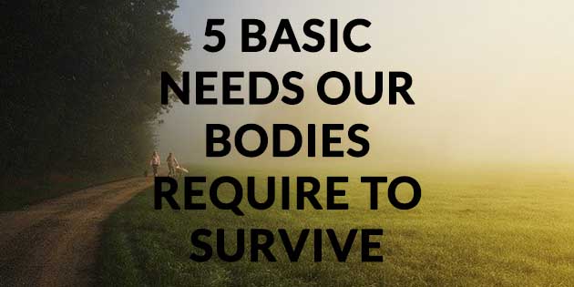 5 basic needs our bodies require to survive