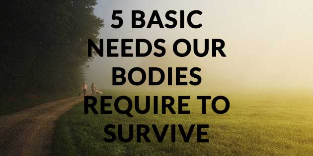 5-basic-needs-our-bodies-require-to-survive-cubic-education-aid